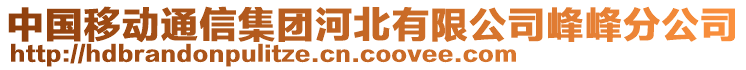 中國移動通信集團河北有限公司峰峰分公司