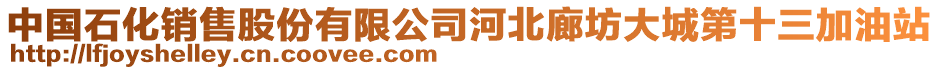 中國石化銷售股份有限公司河北廊坊大城第十三加油站