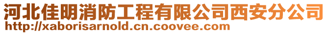 河北佳明消防工程有限公司西安分公司