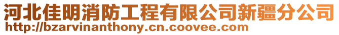 河北佳明消防工程有限公司新疆分公司