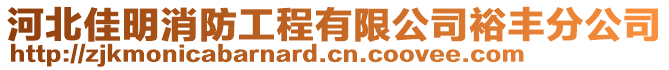 河北佳明消防工程有限公司裕丰分公司