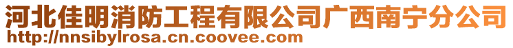 河北佳明消防工程有限公司廣西南寧分公司