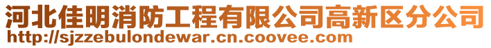 河北佳明消防工程有限公司高新區分公司
