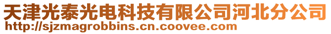 天津光泰光電科技有限公司河北分公司