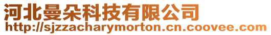 河北曼朵科技有限公司