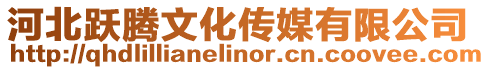 河北躍騰文化傳媒有限公司