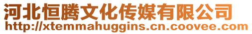 河北恒騰文化傳媒有限公司
