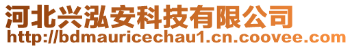 河北興泓安科技有限公司