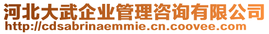 河北大武企業管理咨詢有限公司