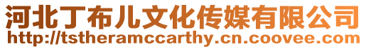 河北丁布兒文化傳媒有限公司