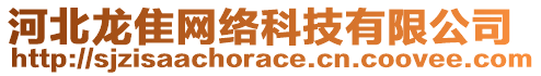 河北龍?chǎng)烤W(wǎng)絡(luò)科技有限公司