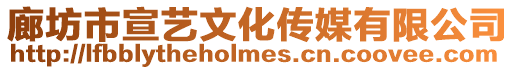 廊坊市宣藝文化傳媒有限公司
