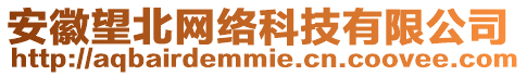 安徽望北網(wǎng)絡(luò)科技有限公司