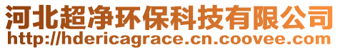 河北超凈環(huán)保科技有限公司