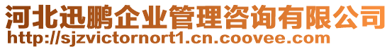 河北迅鵬企業(yè)管理咨詢有限公司