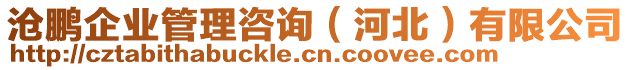 滄鵬企業(yè)管理咨詢（河北）有限公司