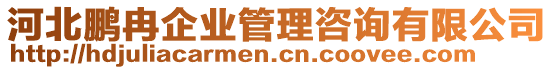 河北鵬冉企業(yè)管理咨詢有限公司