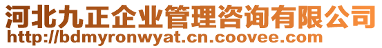 河北九正企業(yè)管理咨詢有限公司