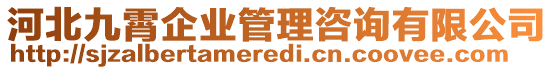 河北九霄企業(yè)管理咨詢有限公司