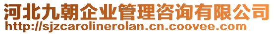 河北九朝企業(yè)管理咨詢有限公司