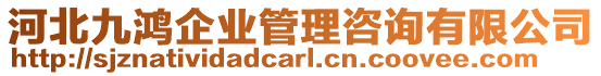 河北九鴻企業(yè)管理咨詢有限公司