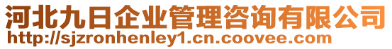 河北九日企業(yè)管理咨詢有限公司