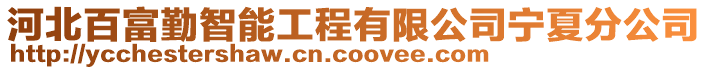 河北百富勤智能工程有限公司寧夏分公司