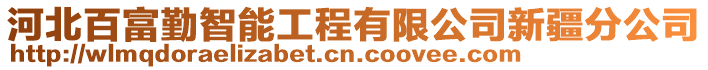 河北百富勤智能工程有限公司新疆分公司