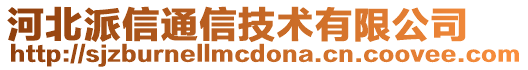 河北派信通信技術(shù)有限公司