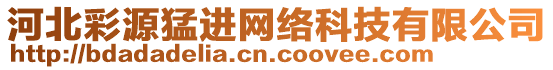 河北彩源猛進(jìn)網(wǎng)絡(luò)科技有限公司