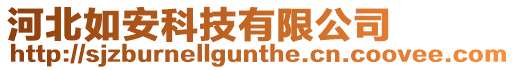 河北如安科技有限公司