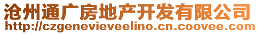 滄州通廣房地產(chǎn)開(kāi)發(fā)有限公司