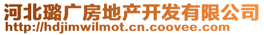 河北璐广房地产开发有限公司