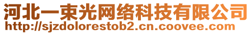 河北一束光網(wǎng)絡(luò)科技有限公司