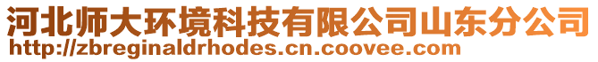 河北師大環(huán)境科技有限公司山東分公司