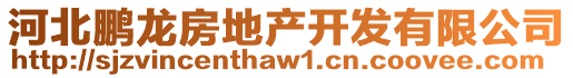 河北鵬龍房地產(chǎn)開(kāi)發(fā)有限公司