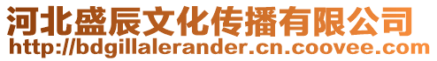 河北盛辰文化傳播有限公司