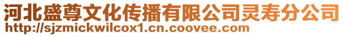 河北盛尊文化傳播有限公司靈壽分公司