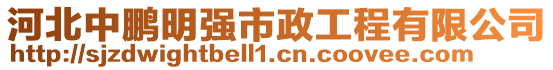 河北中鹏明强市政工程有限公司