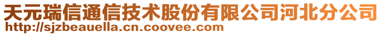 天元瑞信通信技術(shù)股份有限公司河北分公司