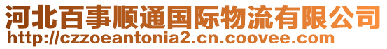 河北百事順通國際物流有限公司