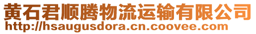 黃石君順騰物流運(yùn)輸有限公司