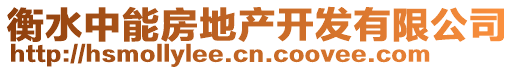 衡水中能房地產(chǎn)開發(fā)有限公司