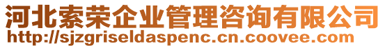 河北索榮企業(yè)管理咨詢有限公司