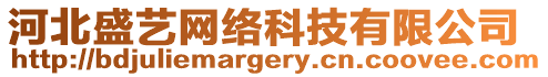 河北盛藝網(wǎng)絡(luò)科技有限公司