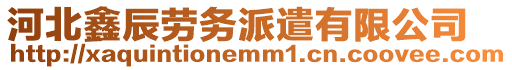 河北鑫辰勞務派遣有限公司