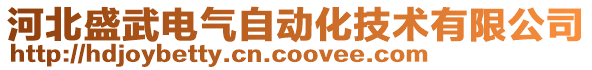 河北盛武電氣自動化技術有限公司