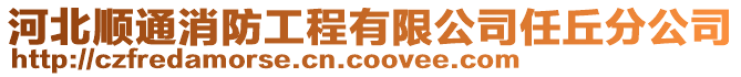 河北順通消防工程有限公司任丘分公司