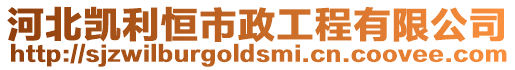 河北凱利恒市政工程有限公司