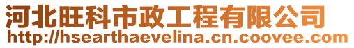 河北旺科市政工程有限公司